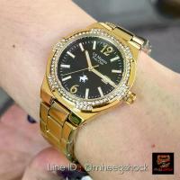 ราคา นาฬิกาข้อมือผู้หญิง ฝังเพชร US Masters Polo Club Golden Diamond Black Dial สายสแตนเลส (1734102326704374788)
