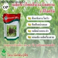 ราคา เมล็ดพันธุ์ข้าวโพดข้าวเหนียวสีม่วง นิลสยาม ตราใบไม้ 1 กก. 1 ซอง จาก ไดนามิคพันธุ์พืช purple corn seeds เมล็ดข้าวโพด (1733981896937145500)