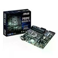 ราคา ASUS MAINBOARD (เมนบอร์ด) 1151 PRIME B250M-A รับประกัน 3 - Y (1730050656428329104)