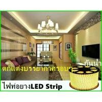 ราคา ไฟเส้น ไฟสายยาง Led Stripไฟสายยางท่อแบน SMD 220v 60led/m IP67 ไฟเส้นประดับตกแต่ง (100 เมตร)(แถมฟรี ปลั๊กหัวจ่าย 2ตัว) (1729449324281367154)