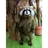 ราคา 8412 Raccoon 65 cm H - ตุ๊กตาแรคคูน (1733301948351546501)