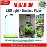 ราคา โคมไฟ LED ไฟวาบิ พร้อมฐานไม้ ไฟเลี้ยงตู้ปลา ไฟตู้ไม้น้ำ ไฟเลี้ยงแคคตัส ไฟเลี้ยงมาริโมะ Wabu-Kusa เลี้ยงไม้กึ่งบก ซีโอดี (1732764079430076101)