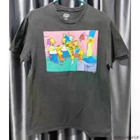 ราคา เสื้อวินเทจลายThe Simpsons Shocked With Alternate Family Mens T-shirt Size M ยาว27นิ้ว รอบอก38นิ้ว （Hot sale） (1733619401921562219)