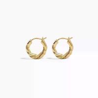 ราคา Special twisted hoop earrings in stock, smooth hoop earrings, light luxury fashion earrings, high-end earrings, stud earrings and ear accessories (1734322308443703033)
