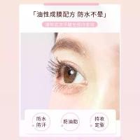 ราคา Waterproof JMChanyan Lash Primer, Lengthening Curling Base Coat, Smudge-Proof Mascara Top Coat, Popular Eye Makeup (1732991859577423264)