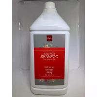 ราคา Ready to Ship Bsc Hair Care Balance Pro-Vitamin B5 3800ml. Shampoo-Conditioner Helps Make Hair Soft and Smooth Without Tangling. Hair Shampoo, Hair Salon, Gallon (1734431607410100142)
