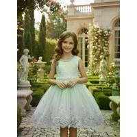 ราคา Lace Dress for Girls, Sleeveless Festive Performance Gown, Birthday Party Puffy Tulle Princess Dress, Flower Girl Wedding Dress (1734392336355854308)