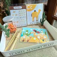 ราคา Camel Sensory Playเซ็ตโมเดลอูฐ ต้นกระบองเพชร (ได้ทั้งเซ็ตในภาพ) เกมเล่นซ่อนหาอูฐ (1734353128404322214)