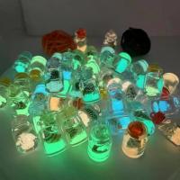 ราคา Transparent Acrylic Imitation Conch Luminous Drift Bottle Shell Earrings Bag Keychain Pendant DIY Accessories Wholesale (1734027046167152253)