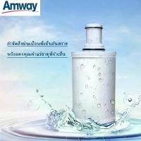 ราคา จำนวนจำกัด!!! ชุดไส้กรองคาร์บอน Amway Espring filter cartridge อีสปริงแอมเวย์ ของแท้ช็อปไทยeSpring (1733627247575008984)