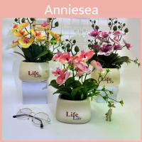 ราคา Butterfly Orchid Artificial Arrangement For Outdoor Use And Interior Design (1734140833233995770)