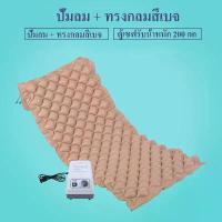 ราคา Bedsore Air Mattress อะไหล่ เครื่องเป่าลมไฟฟ้า สำหรับ ที่นอนลม ที่นอนรังผึ้ง เตียงคนไข้ เตียงผู้ป่วย ที่นอนผู้ป่วย เตียงคนแก่ ป้องกันแผลกดทับ ผู้ป่วย นอนติดเตียง (1730678993943038699)