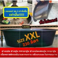 ราคา อ่างเปล อ่างปูน กระบะปูน ความจุ 220 ลิตร อ่างเปลผสมปูน กะบะปูน กระบะผสมปูน อ่างผสม เครื่อง มือ อาบ น้ํา มีตัวกรอง ระบบของฝักบัว อุปกรณ์อาบน้ำ shower head (1732825952529122970)