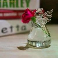 ราคา HOMECLEEOESQX แจกันแองเจิลโปร่งใส, DIY ภาชนะ Hydroponic เป่ามือ, แก้ว Borosilicate สวยงามสะดุดตา Angel Shape พืชแจกันติดผนังตกแต่งงานแต่งงาน (1733295041096090797)