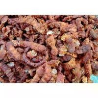 ราคา สินค้าขายดี แนะนำ มะขามเปียก แกะเม็ด ครึ่ง กก. 69 บ ขนม เยลลี่ lucky dip ลูก แทค funny gummy ลูกอม บ๊วย เคลือบ น้ําตาล มี 100 เม็ด สายไหม เจ้าดัง อยุธยา ถั่วลายเสือค (1734171441384818246)