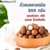 ราคา แมคคาเดเมียแมคคาเดเมีย 500กรัม แบบมีเปลือก(แถมที่แกะ)ถั่ว อบพร้อมทาน เนื้อแน่น หอม มีประโยชน์ ถั่ว โปรตีนสูง (1734188704482887017)