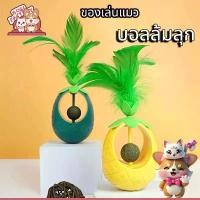 ราคา Boqi Factory ของเล่นแมว ลูกบอลล้มลุก ตุ๊กตาล้มลุก มาพร้อมขนนก ของเล่นสัตว์เลี้ยง QQ35 (1734222193015818234)