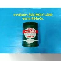 ราคา จารบีเพลา ยี่ห้อ MOLY LAND ขนาด 454กรัม กบยาง รอกเบส เหยื่อปลอม คันเบ็ดเบส กบยางเขียดแต่ง เบ็ดตกปลา รอกสปินนิ่ง รอกตกปลา คันเบ็ด สายพีอีถัก8 สายพีอี รอกเบสหยดนํ้า กบยางตีปลาช่อน (1733969951459345869)