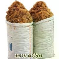 ราคา สีเสียดปลากัด คุณภาพดี ขนาด3กิโลกรัม สำหรับกินคู่กับหมาก ทำน้ำหมักปลากัดสูตรเข้มข้น สำหรับทำน้ำหมักปลากัด(ต้นไม้)เส้นสวยอย่างดี (1733996805695309432)