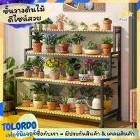 ราคา [พร้อมส่ง] ชั้นวางต้นไม้ ขาตั้งวางต้นไม้ ชั้นวางดอกไม้ ชั้นวางของตกแต่ง ปลูกต้นไม้ ต้นไม้ ชั้นวางกระถางต้นไม้ ตกแต่งสวน ตกแต่งบ้าน 8 ชั้น 10 ชั้น ว (1733323453606299483)