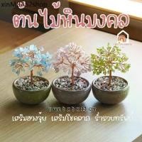 ราคา ❧ต้นไม้ หินมงคล เสริม ฮวงจุ้ย โชคลาภ ร่ำรวย ความสูง 11 CM ของมงคล ของขวัญ ต้นไม้มงคล อเมทิสต์ โรสควอตซ์ ต้นไม้ปลอม♗ (1734372113195828385)