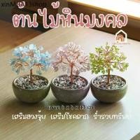 ราคา ♭ต้นไม้ หินมงคล เสริม ฮวงจุ้ย โชคลาภ ร่ำรวย ความสูง 11 CM ของมงคล ของขวัญ ต้นไม้มงคล อเมทิสต์ โรสควอตซ์ ต้นไม้ปลอม♞ (1734418042920666782)