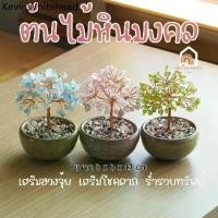 ราคา ♞ต้นไม้ หินมงคล เสริม ฮวงจุ้ย โชคลาภ ร่ำรวย ความสูง 11 CM ของมงคล ของขวัญ ต้นไม้มงคล อเมทิสต์ โรสควอตซ์ ต้นไม้ปลอม♜ (1733655284831847496)
