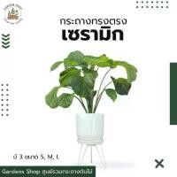 ราคา กระถางต้นไม้ เซรามิก กระถาง NM_ D2 กระถางทรงตรง ใส่ดอกไม้ ต้นไม้ คุณภาพดี งานสวย (1734414431146051568)