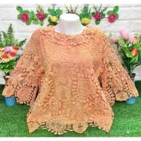 ราคา เสื้อลูกไม้11สี รอบอก42-46นิ้ว โอรส ชมพู กะปิ ดำ แดง เหลือง ขาว ฟ้า ชมพูโอรส ครีม น้ำตาล ถูกๆๆ (1734351173378475496)