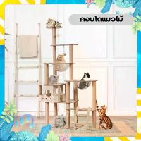 ราคา พร้อมส่ง คอนโดแมว คอนโดแมวมินิมอล คอนโดแมวไม้ คอนโดแมวถูกๆ คอนโดแมวใหญ่ คอนโดลับเล็บแมว ที่ลับเล็บแมว ของเล่นแมว บ้านแมว คอนโด (1733941348733126603)