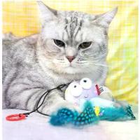 ราคา แนะนำ ของเล่นแมว มีเสียงและมีไฟ ตุ๊กตารูปสัตว์พร้อมเสียงร้อง ตุ๊กตาแมว (1734352163696314240)