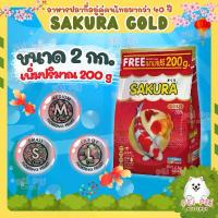 ราคา 2 Kg.ฟรี 200g ในถุง สูตรใหม่!! อาหารปลาซากุระ Sakura Gold ขนาด 2000 กรัม พา นาเรีย ใน ตู้ปลา อาหาร ปลาช่อน สวยงาม ปลากัด มหาชัย ปลากัด นครปฐม อาหาร ปลา กิน พืช 20 อาหา (1731725343606277171)