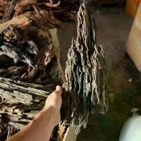 ราคา ไม้ตกแต่งตู้ปลา รูปทรงรังผึ้ง ไม้กระดูกมังกร ตู้ปลา พืชน้ำนิเวศวิทยา ถังดินน้ำพร้อม โครงกระดูกโปร่ง ไม้ลอยน้ำ (1733593288359053216)