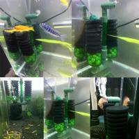 ราคา ทนทาน หัวคู่ ตัวกรองตู้ปลา สีเขียว พลาสติก ฟองน้ำกรองชีวเคมี ฟองน้ำชีวเคมี ฟองน้ำกรอง ตู้ปลา (1733966799873213478)