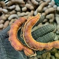 ราคา มะขามหวานสีชมทอง(เกรด A)หวานอร่อย เนื้อแน่น สดจากสวยเพชรบูรณ์ 1 กิโล(ขนมปัง) (1734218702078706884)