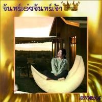 ราคา CT138A068 SOTMIA พระจันทร์โคมไฟ พระจันทร์ พระจันทร์เสี้ยว ของตกแต่งบ้าน (1729602829178603530)