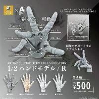 ราคา หุ่นมือจิ๋ว ศิลปะ SO-TA ข้อต่อนิ้ว 1/2 ปาล์มข้อมือ ชิ้นงอได้ ชิ้นงอได้ ของเล่น ส่วนที่เคลื่อนย้ายได้ (1731557447812810125)