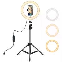 ราคา PULUZ 10.2 inch 26cm LED Ring Light + 1.1m Tripod Mount Vlogging Video Light Live Broadcast Kits (1729609424067267421)