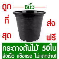 ราคา [COD] [Tiktok]กระถางต้นไม้ กระถางพลาสติก ขนาด 8 นิ้ว 50ใบ กระถางกลม กระถางต้นไม้พลาสติก กระถางปลูกต้นไม้ กระถางดำ กระถางพลาสติกดำ Flower pot หัวฉีด นํ้า แรง ดัน สูง ยาทา มีด กรีด (1733482865103767350)