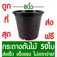 ราคา กระถางต้นไม้กระถางต้นไม้ กระถางพลาสติก ขนาด 8 นิ้ว 50ใบ กระถางกลม กระถางต้นไม้พลาสติก กระถางปลูกต้นไม้ กระถางดำ กระถางพลาสติกดำ Flower pot (1734022129517561306)