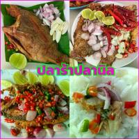 ราคา (ขายดี) ปลาร้าปลานิล (แพ๊ค 2 ตัว 500 กรัม ) หมักข้าวคั่วหอมแตะจมูก ยังไม่ได้ทอด ปลาร้าทอด ปลาร้าตัว ปลานิล หนึ่ง แพค ขนม เยลลี่ honeycomb candy (1732756612998137784)