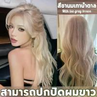 ราคา 【COD】 เหมาะกับหน้าสด ไอดอลย้อมผม สีย้อมผม ยาย้อมผม 100ml*2 สีผม โฟมเปลี่ยนสีผม กานิเย่ย้อมผม สีย้อมผมออแกนิก dcash loreal (1733092520102102974)