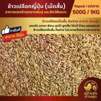ราคา ข้าวเปลือกญี่ปุ่น ข้าวเปลือกเม็ดสั้น อาหารนกแก้ว หนูแฮมสเตอร์ ไก่ชน ไก่แจ้ (แบ่งขาย 500G / 1KG) (1733514278810060595)