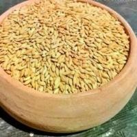 ราคา (แบ่งขาย)ข้าวเปลือกเม็ดมะเขือ ข้าวเปลือกเม็ดสั้น อาหารนกแก้ว ทุกสายพันธุ์ หนูแฮมสเตอร์ ไก่ชน ไก่พื้นบ้าน. (1734057620280412067)