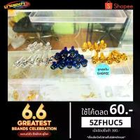 ราคา น็อตยึดกรอง Pcx150-160 ADV Gpx-Drone -Forza Nmax ZoomerX Click Arox Xmax อื่นๆหัวเจาะ (1734190876345140743)