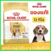 ราคา backfishop แบบพกพา Royal Canin Beagle Adult อาหารสุนัข รอยัลคานิน บีเกิ้ล บีเกิล อายุ 12 เดือนขึ้นไป ขนาด 12kg สุนัข คานิว่า มัน แมว เม็ด อาหารเปียกผสมอาหารเม็ด (1730324022930737399)