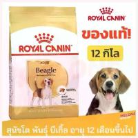ราคา Wujing'Shop ใช้งานได้ Royal Canin Beagle Adult อาหารสุนัข รอยัลคานิน บีเกิ้ล บีเกิล อายุ 12 เดือนขึ้นไป ขนาด 12kg (1730330549584693925)