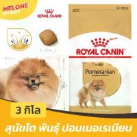 ราคา Royal Canin Pomeranian Adult รอยัลคานิน ปอมเมอเรเนียน อาหารสุนัข สุนัขโต ขนาด 3 kg (1733909804373673031)
