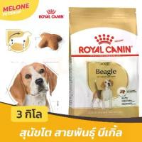 ราคา Royal Canin Beagle Adult อาหารสุนัข รอยัลคานิน สุนัขโต พันธุ์ บีเกิ้ล บีเกิล อายุ 12 เดือนขึ้นไป ขนาด 3 kg (1733110863059519034)