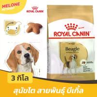 ราคา Royal Canin Beagle Adult อาหารสุนัข รอยัลคานิน สุนัขโต พันธุ์ บีเกิ้ล บีเกิล อายุ 12 เดือนขึ้นไป ขนาด 3 kg (1734207576854791753)